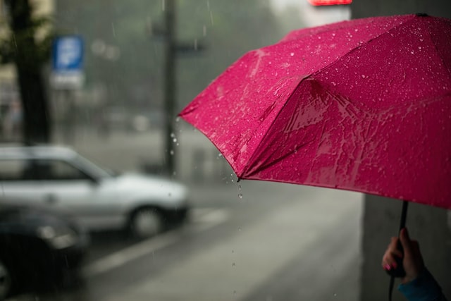 Kasa is the Japanese word for umbrella. Handy when it's raining and you're in need!